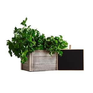 Clipping_Buzz_Clippingpath-13.jpg